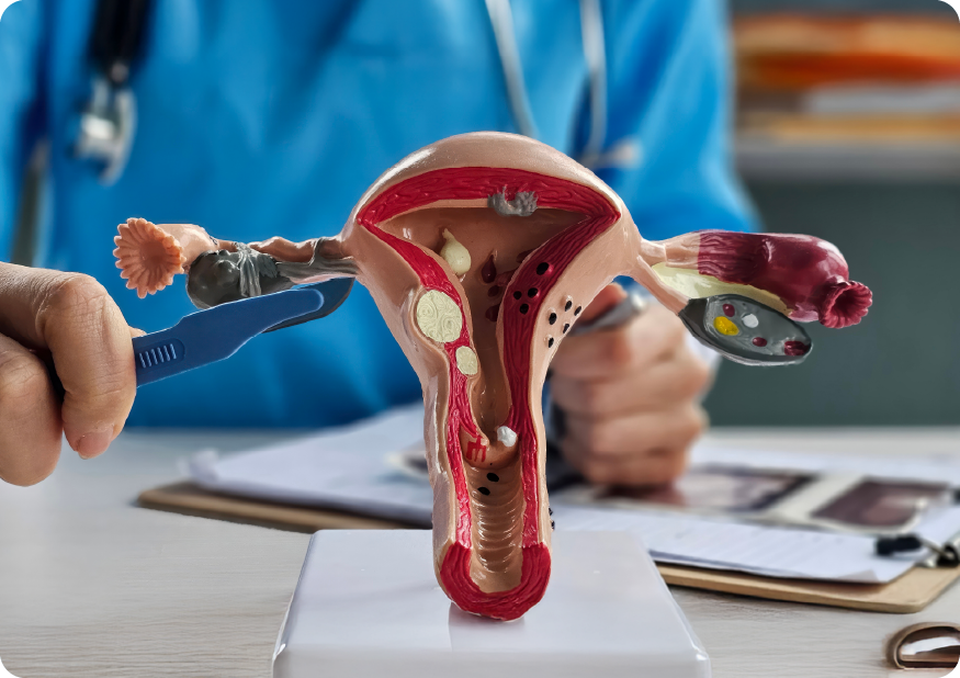 Introduction to Operative Obstetrics and Gynaecology- Stepwise skills for everyday OT practice