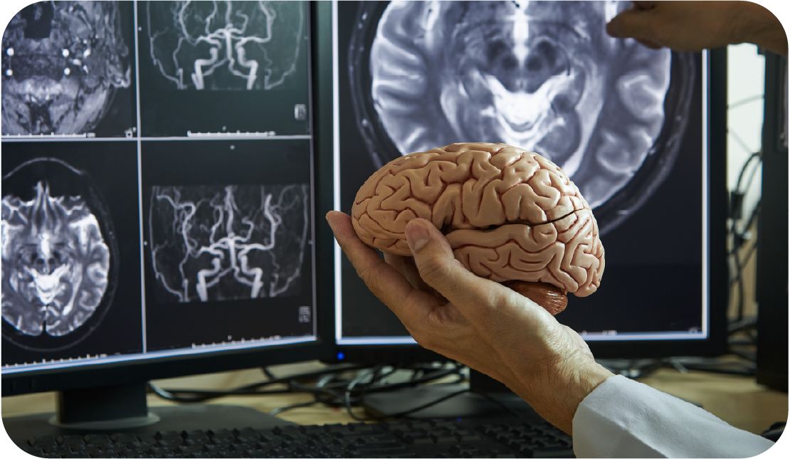 Neurosurgery for SS Course Features