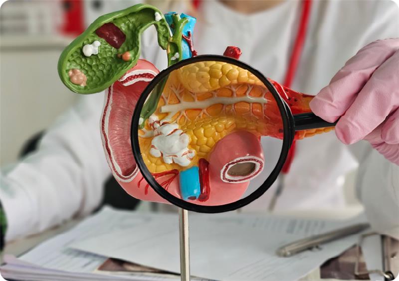 Introduction to GI & HPB Surgery for SS