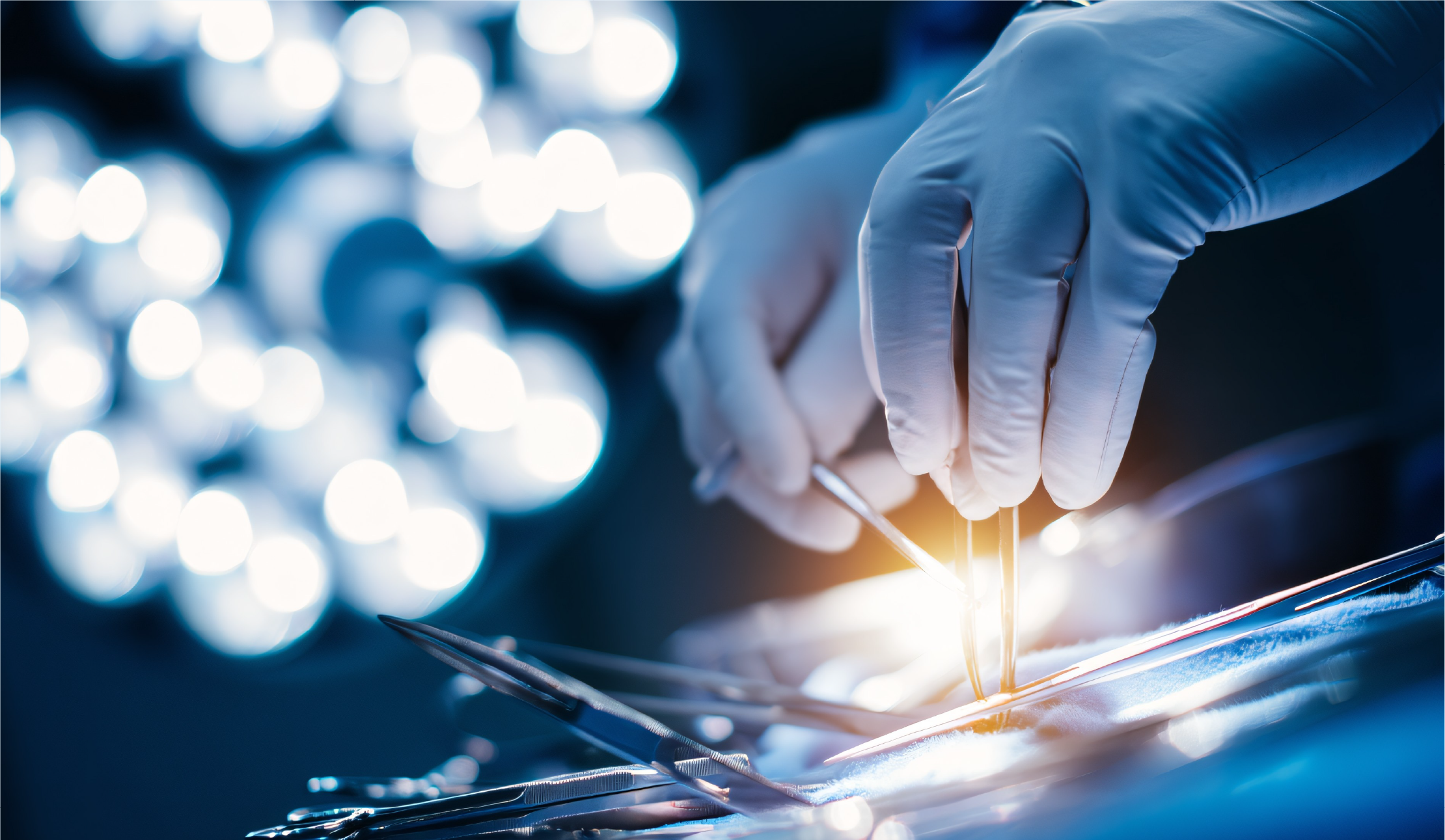 Surgery Residency +SS (NEET SS +INI SS) Course Features
